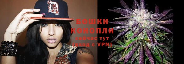мдпв Дмитриев