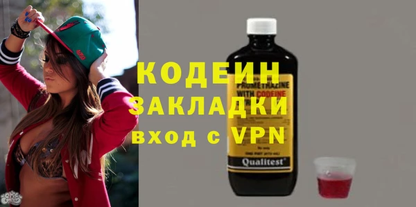 мдпв Дмитриев