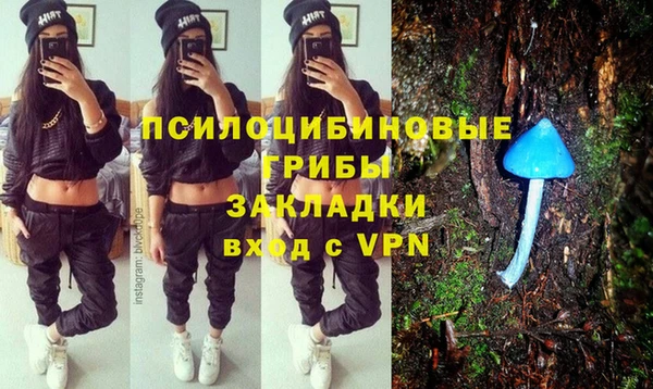 мдпв Дмитриев