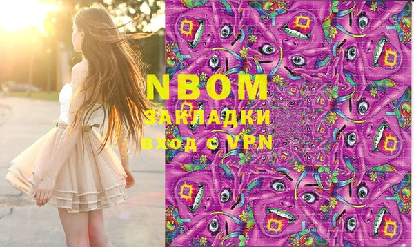 мдпв Дмитриев