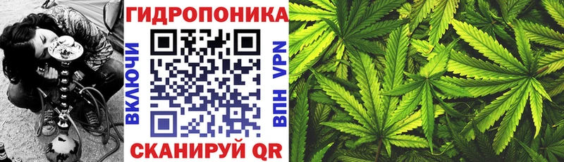 Конопля сатива  купить   Южно-Сухокумск 